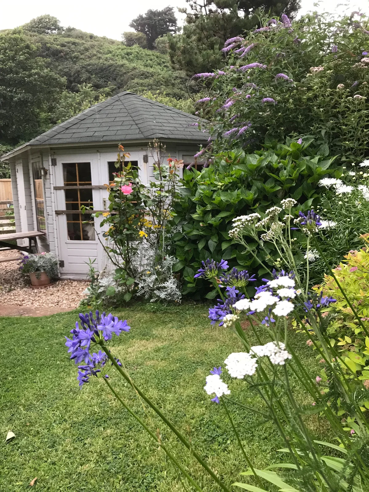 Kittiwake's garden in Hope Cove, with a lawn, flowering plants and a timber cabin